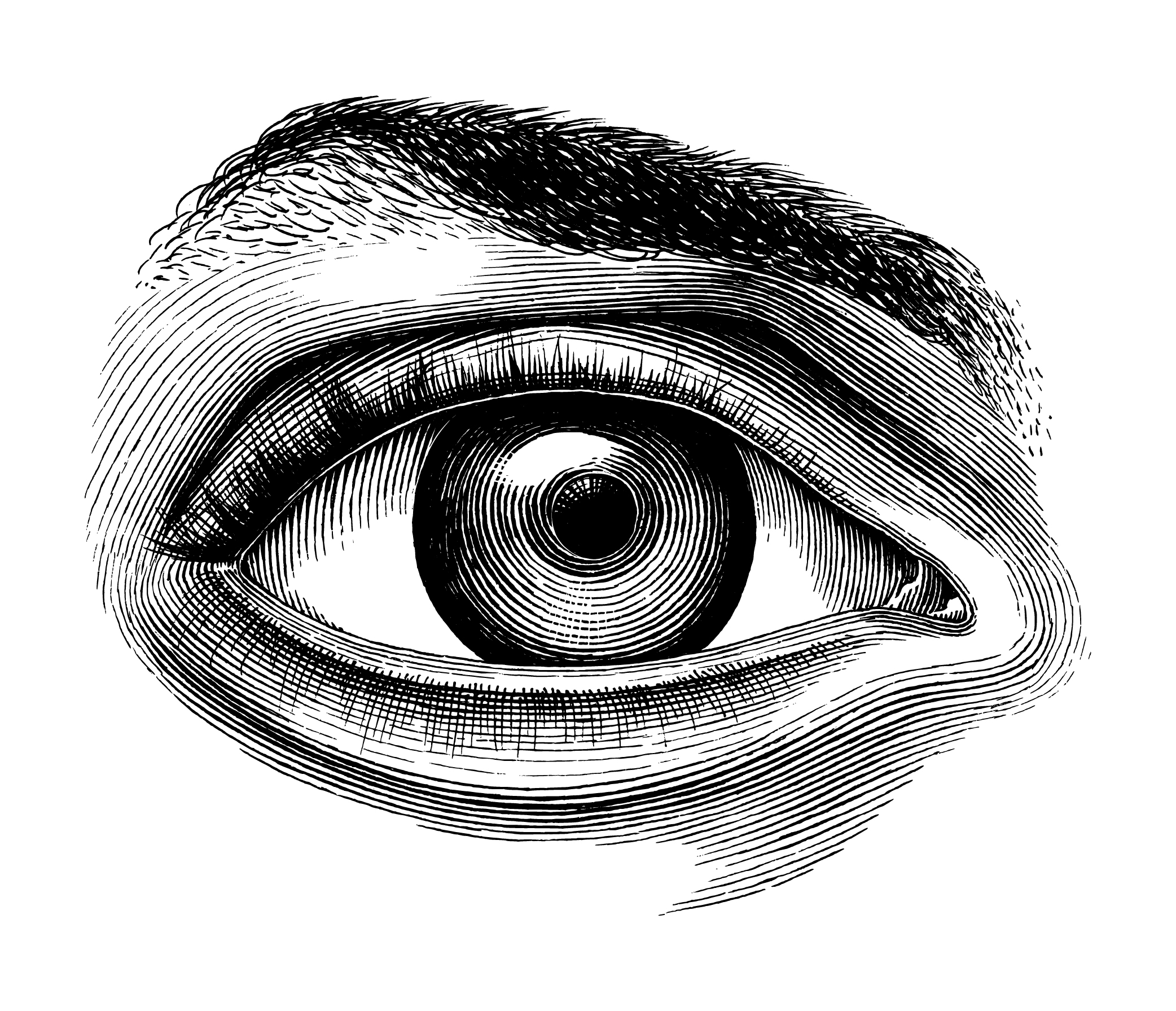 Anatomy of human eye hand draw vintage clip art isolated on white background infographic